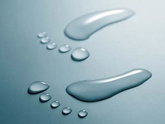 Datos Curiosos del Agua